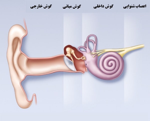 اختلال در گوش داخلی